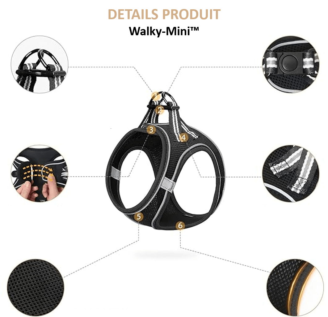 Détails de notre harnais pour petit chien