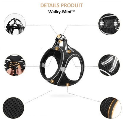 Détails de notre harnais pour petit chien