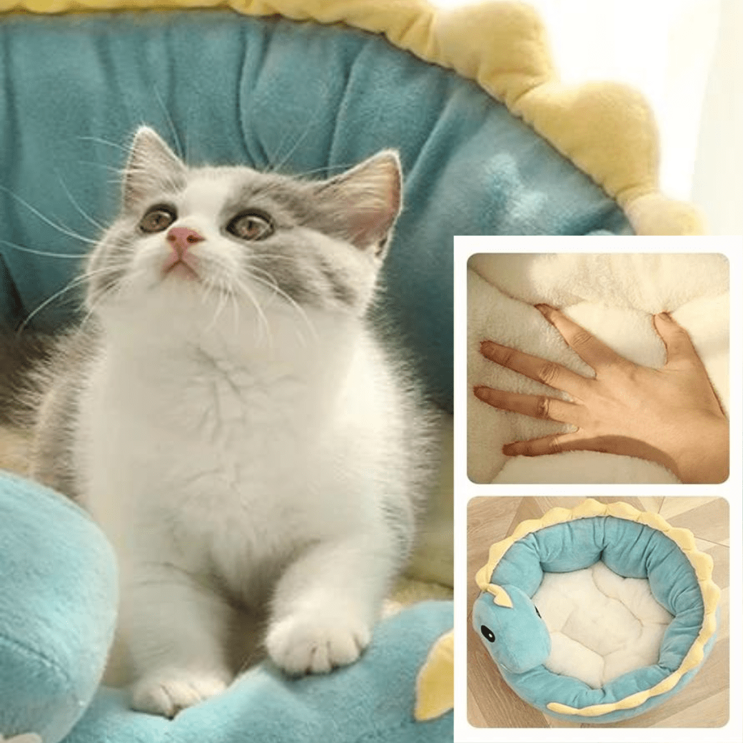 Chat dans un grand lit pour chat en forme de dinosaure