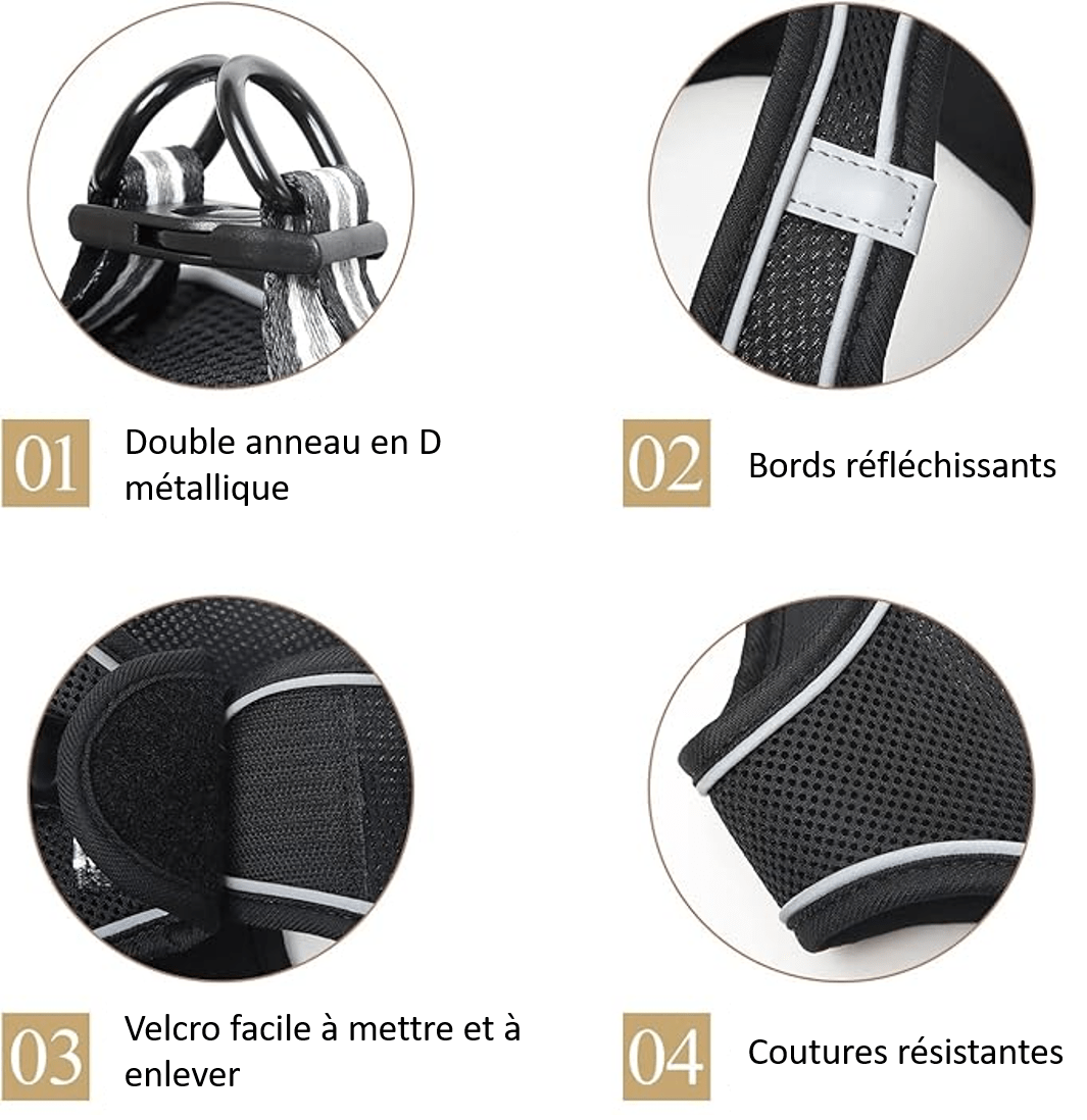 Détails de notre harnais pour petit chien