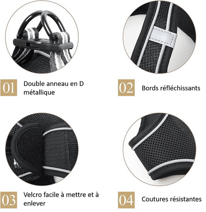 Détails de notre harnais pour petit chien