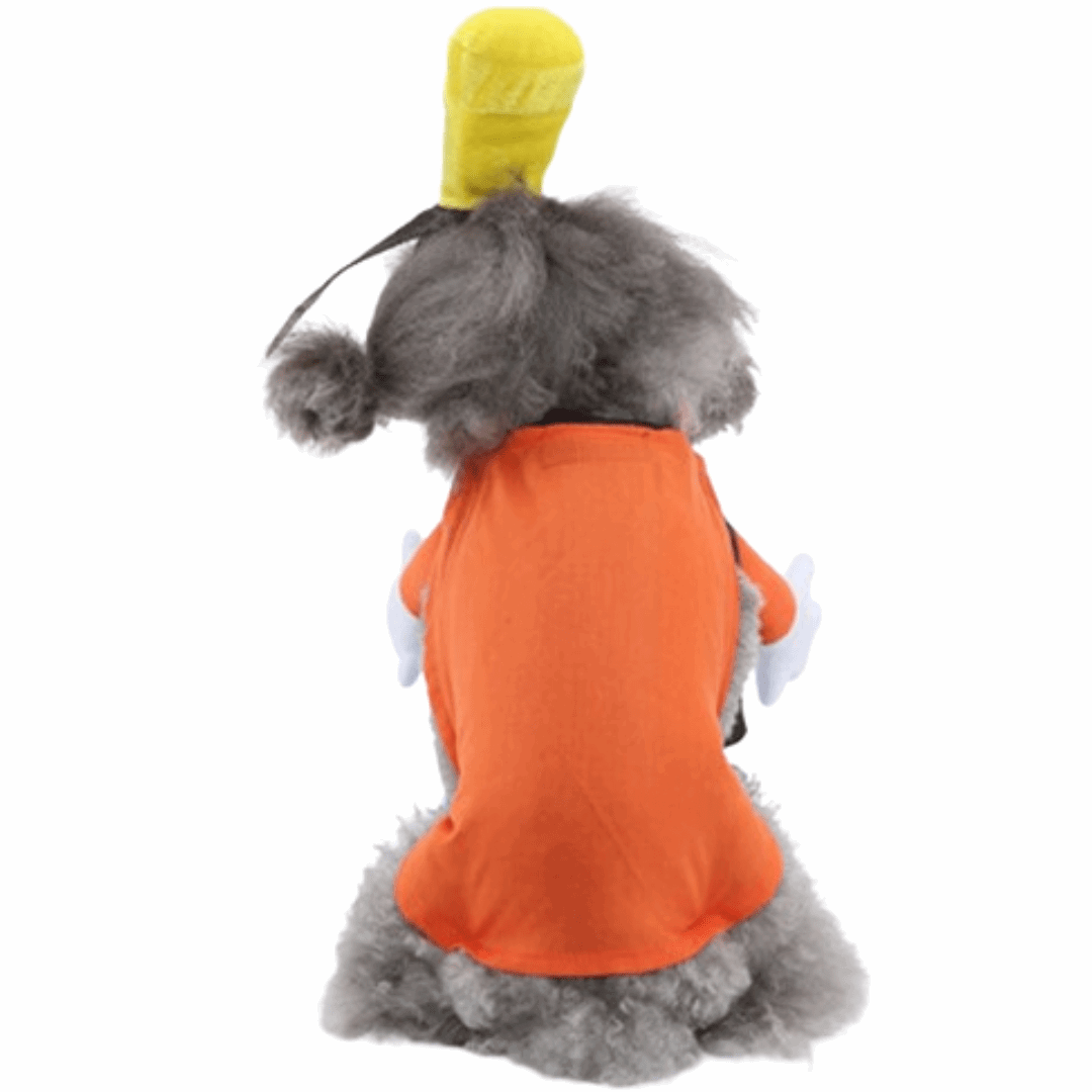 Déguisement pour chat et chien - Dingo