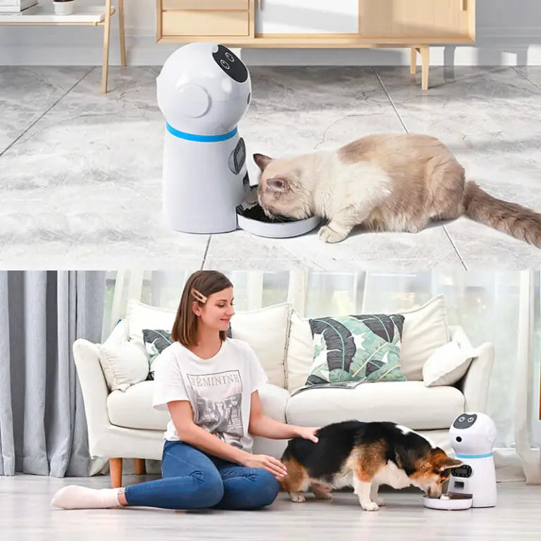 Distributeur intelligent de croquettes