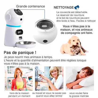 Présentation de notre distributeur intelligent de croquettes pour animaux