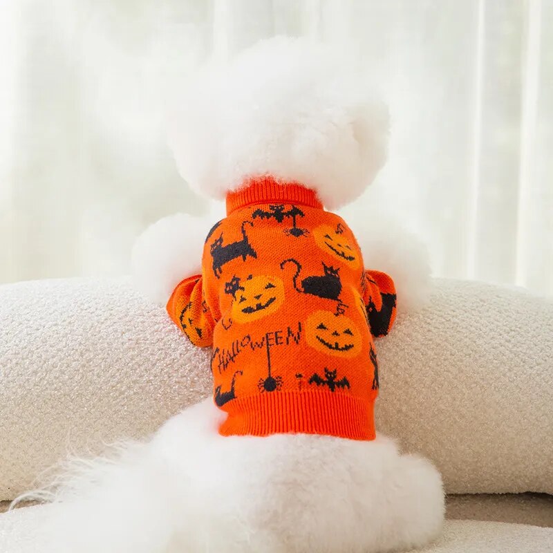 Pull Halloween pour chien et chat