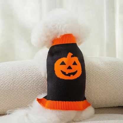 Pull Halloween pour chien et chat