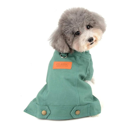 Dos de notre veste Denim de printemps pour chien