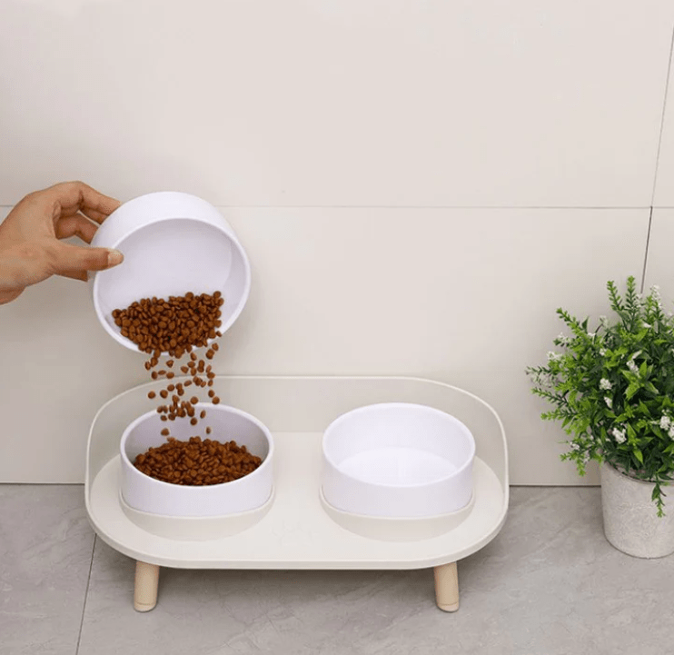 Confort et hygiène avec notre mangeoire design pour animaux