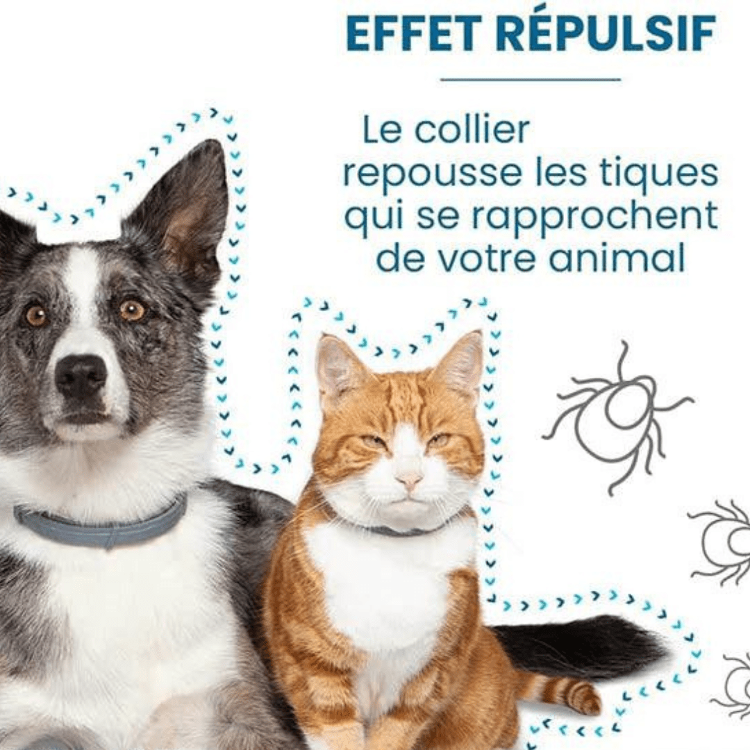 Effet répulsif de notre collier anti-puces et anti-tiques pour chien et chat