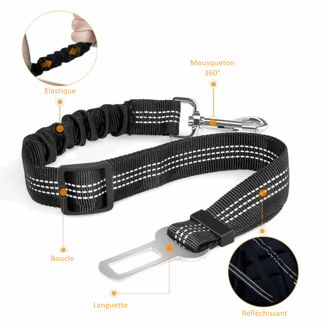 Eléments de la laisse ceinture de sécurité voiture pour chien 