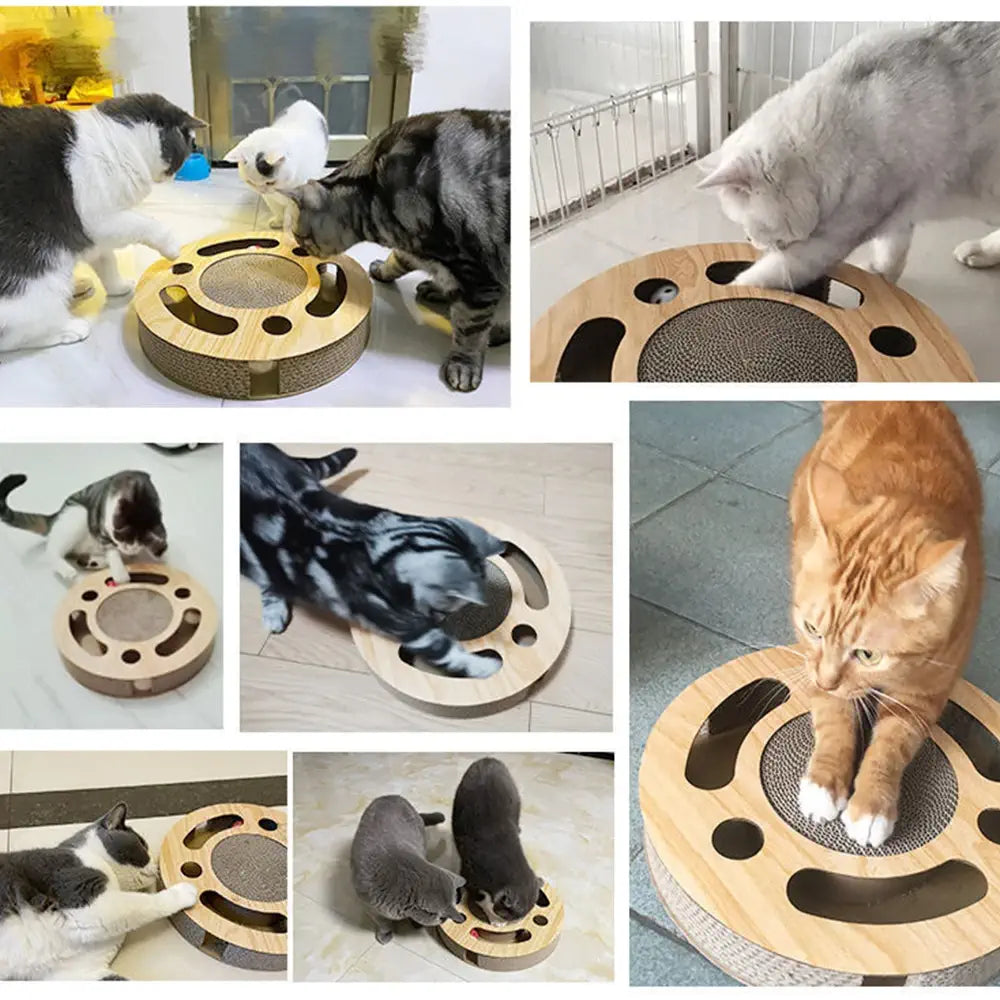 Chats qui utilisent le grattoir rond pour chat