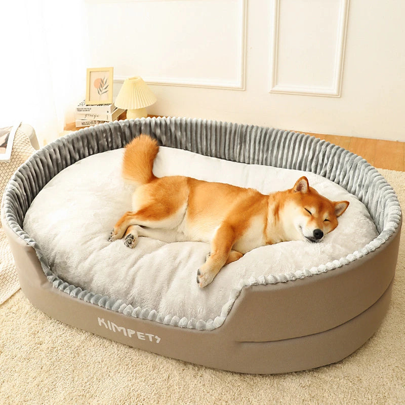 Chien dans un lit paradis pour chien