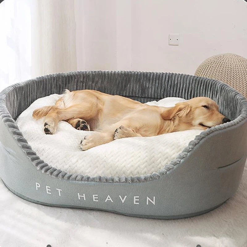 Chien dans un lit paradis pour chien