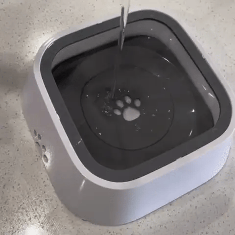Gamelle pour chien anti-débordement
