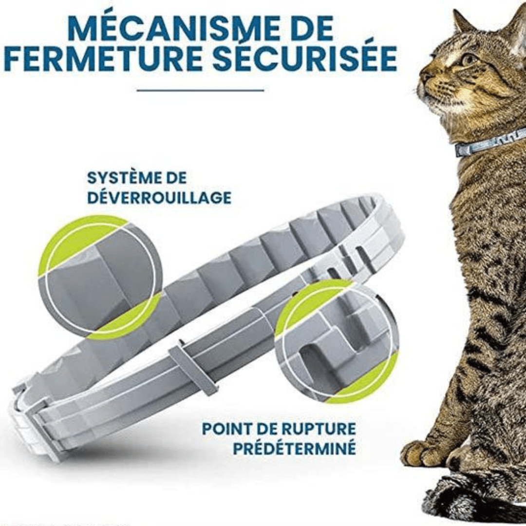 Fermeture sécurisée de notre collier anti-puces et anti-tiques pour chien et chat