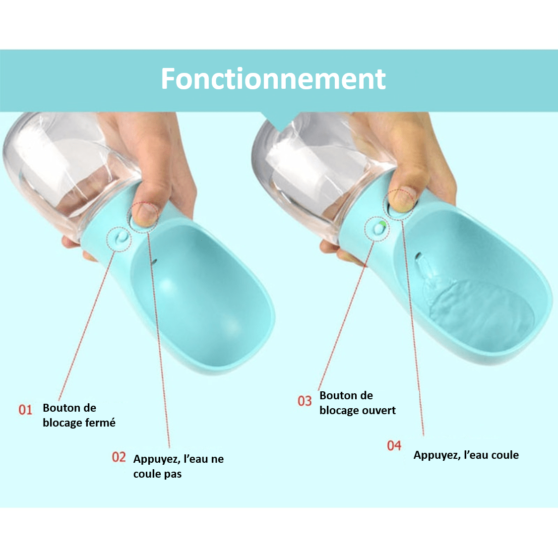 fonctionnement de notre gourde d'eau pour animaux