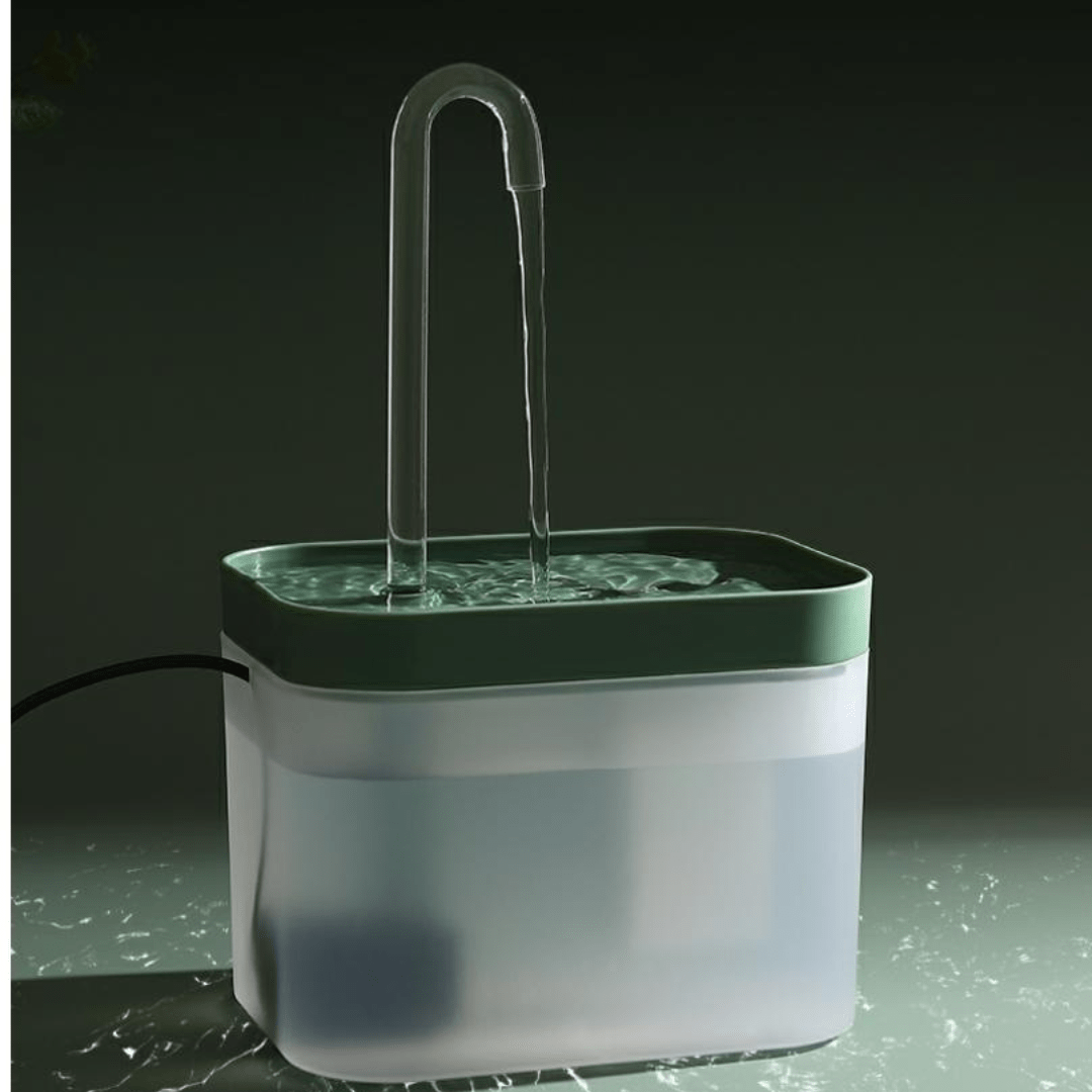 Fontaine à eau transparente pour chat