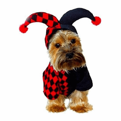 Déguisement pour chat et chien - Fou