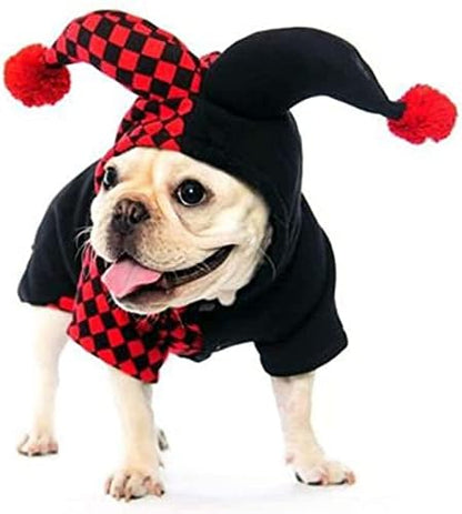 Déguisement pour chat et chien - Fou