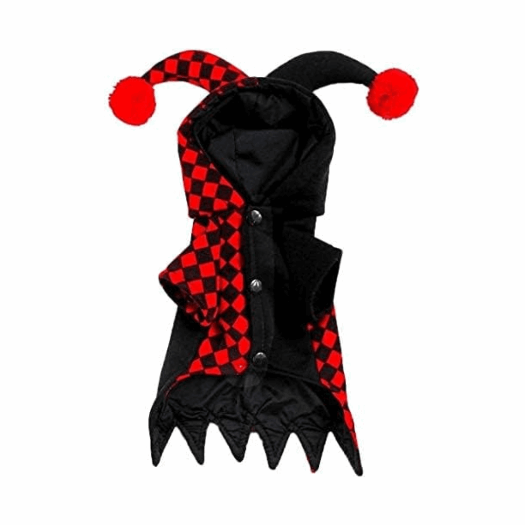 Déguisement pour chat et chien - Fou