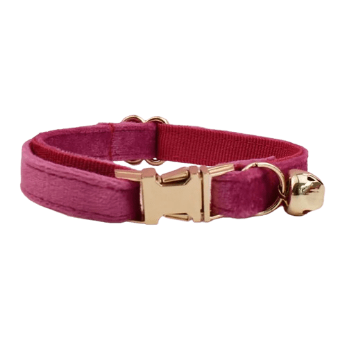Collier en velours fuschia pour chat