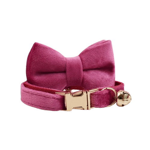 Collier en velours fuschia pour chat