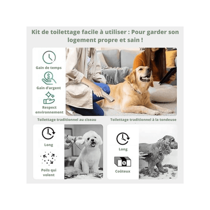 Aspirateur kit de toilettage pour animaux de compagnie
