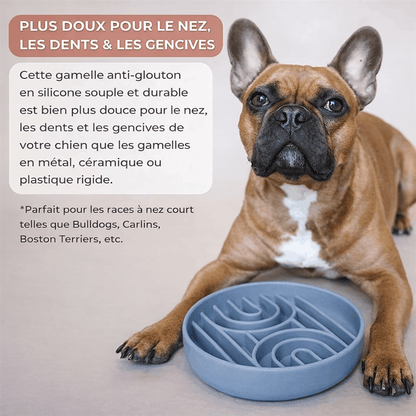 gamelle anti-glouton en silicone doux pour le nez, les dents et les gencives