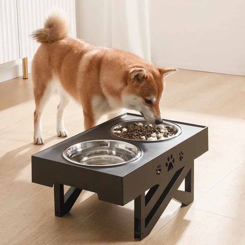 Mangeoire pour chien esthétique
