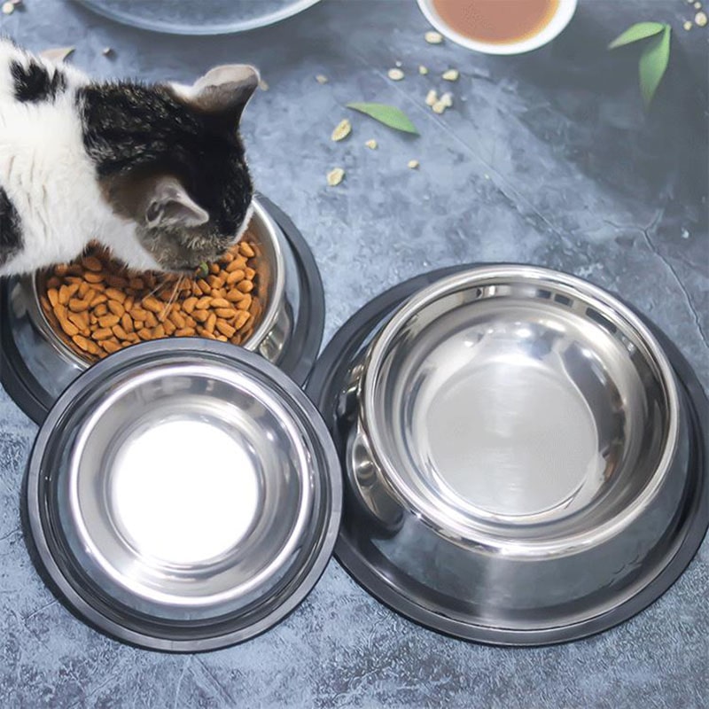gamelle en acier inoxydable pour animaux