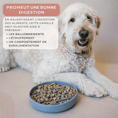 gamelle anti-glouton en silicone qui promeut une bonne digestion pour l'animal