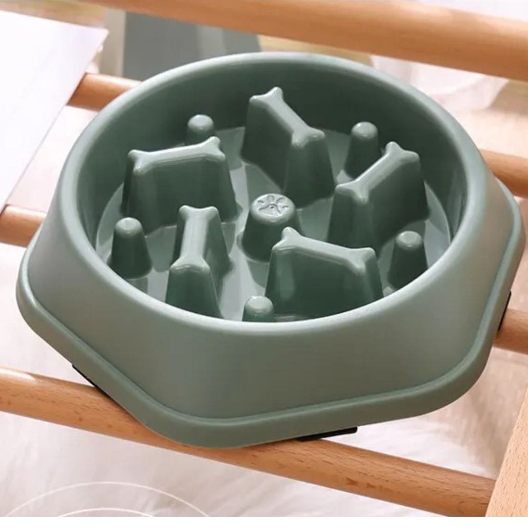 Gamelle anti-glouton motif os pour chien et chat