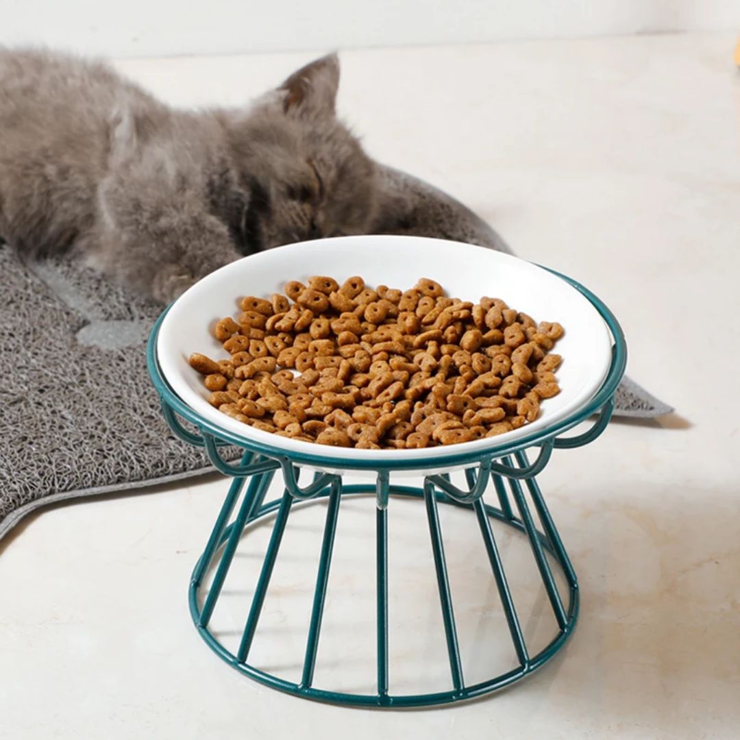 Gamelle surélevée en métal bleu pour chat