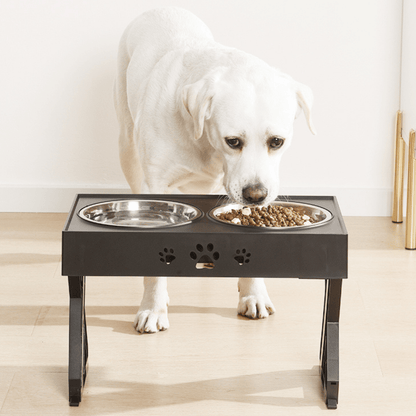 Chien avec notre mangeoire