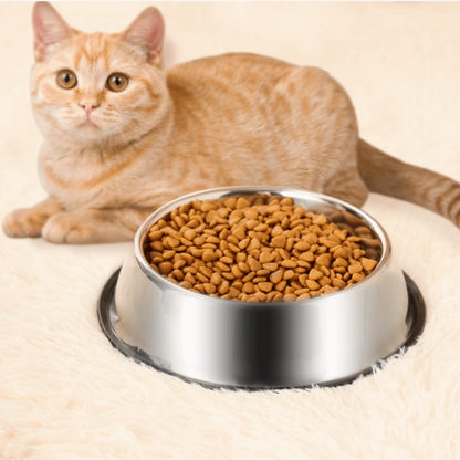 Gamelle en acier inoxydable pour animaux