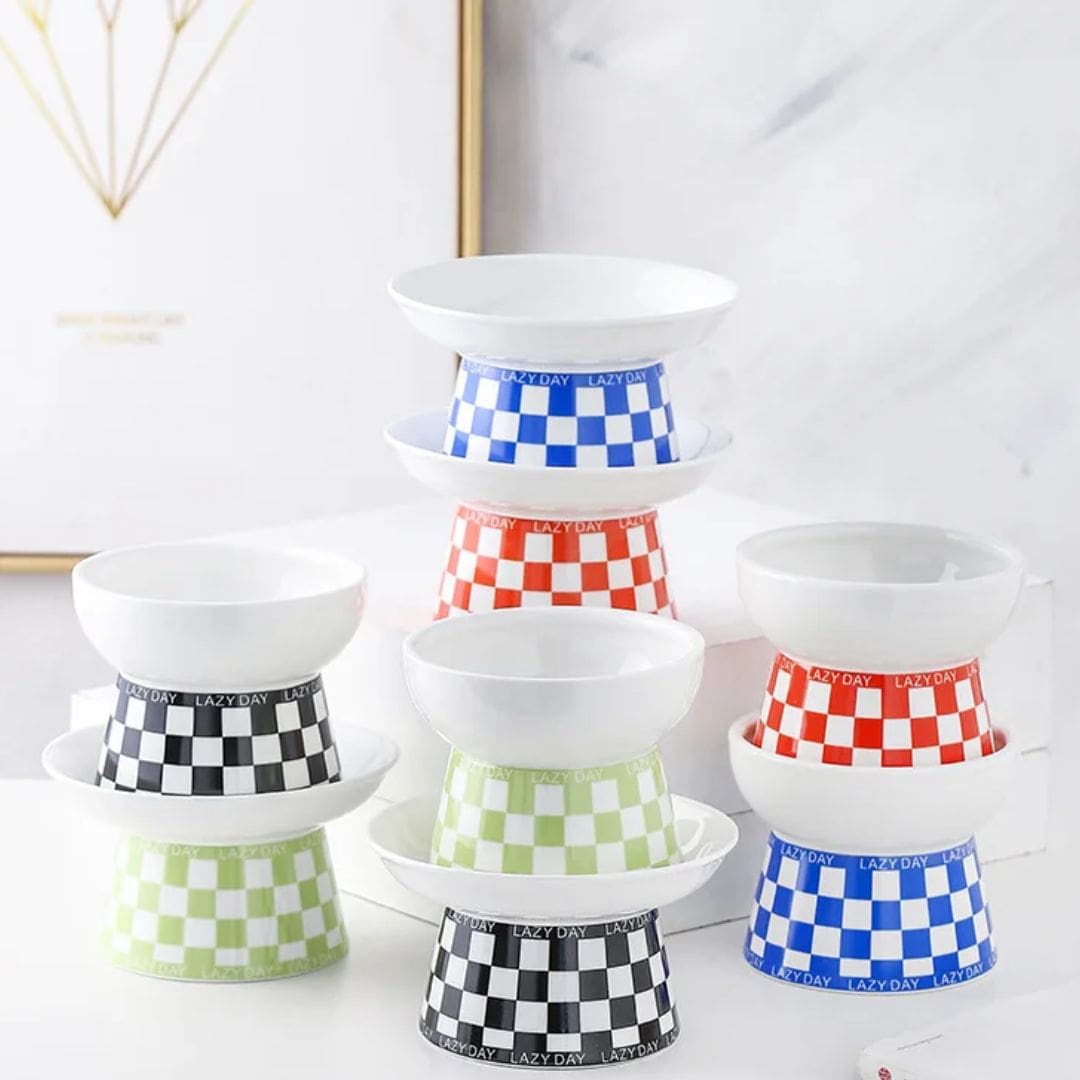 Collection de gamelle céramique design pour chat