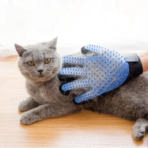 Gant de brossage pour animaux