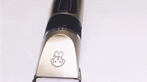 Présentation de la tondeuse électrique sans fil pour animaux