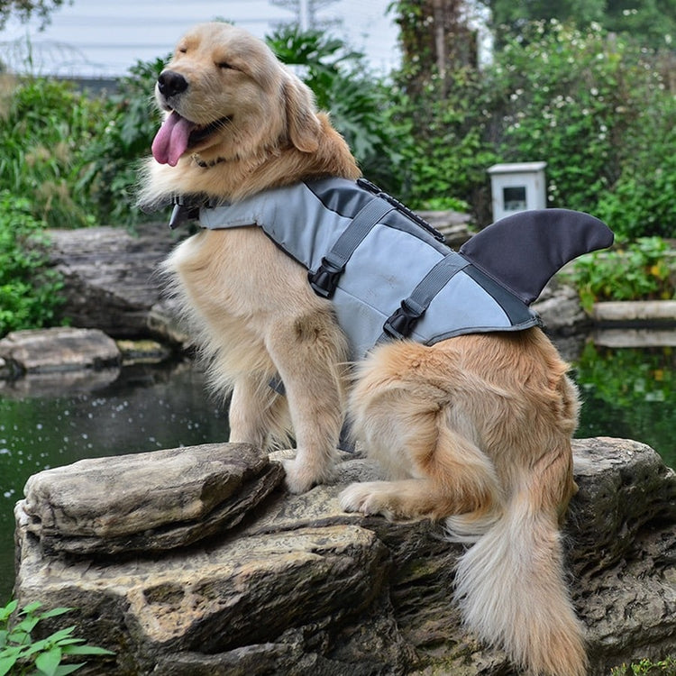Chien avec notre gilet de sauvetage requin