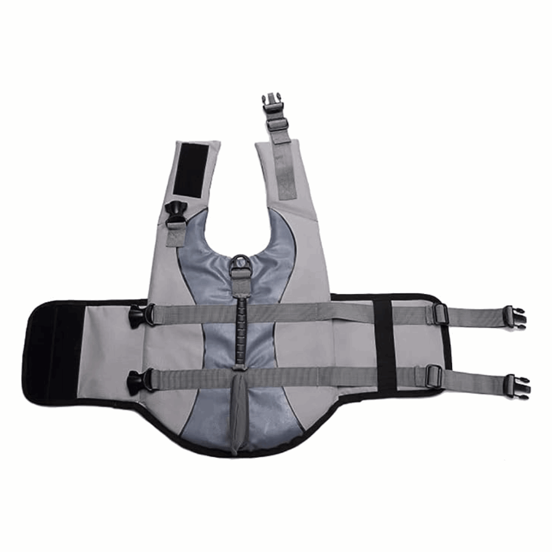 gilet de sauvetage requin pour chien