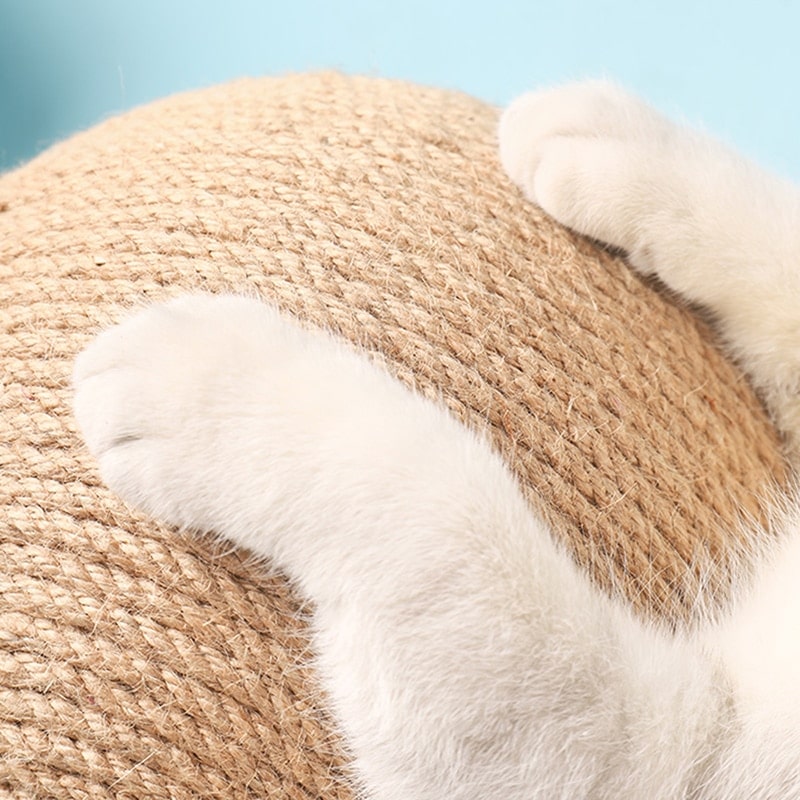 Chat qui utilise un griffoir en forme de boule en sisal