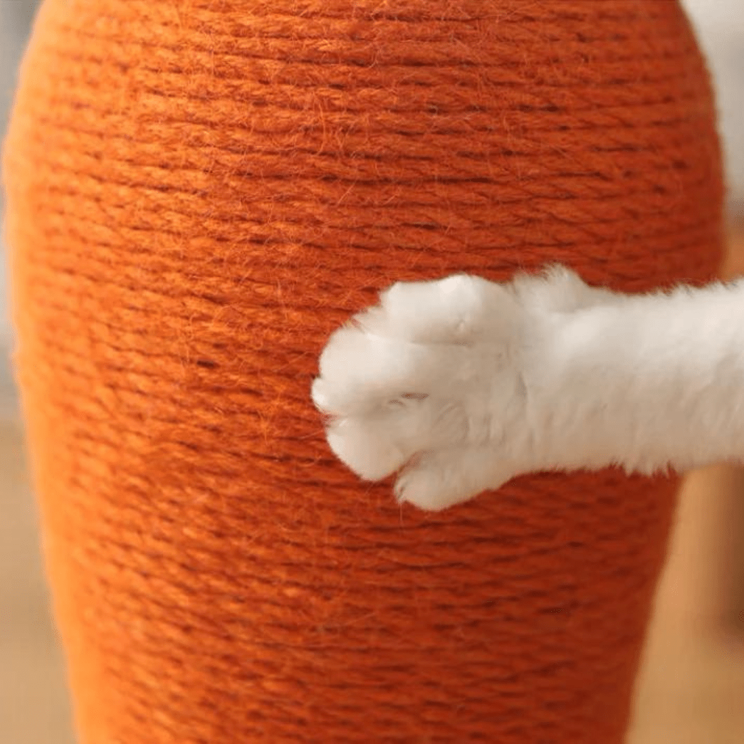 Chat avec griffoir pour chat en forme de carotte