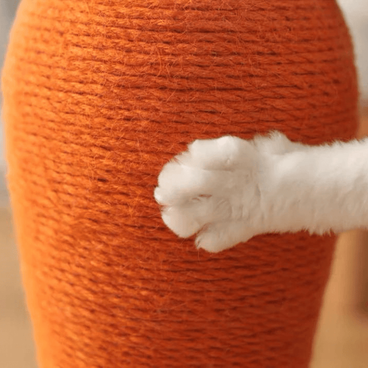 Matériaux de qualité de notre griffoir pour chat en forme de carotte