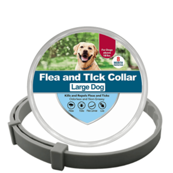 Collier anti-puces et anti-tiques gris L pour chien