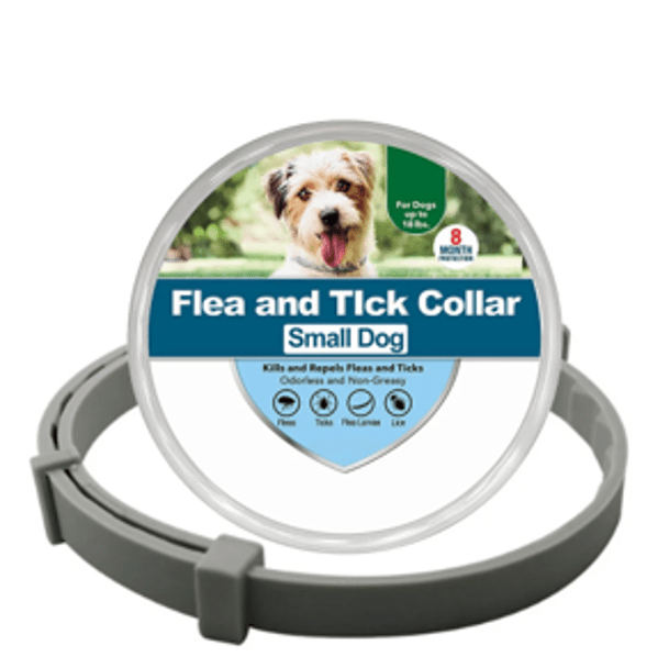 Collier anti-puces et anti-tiques gris S pour chien