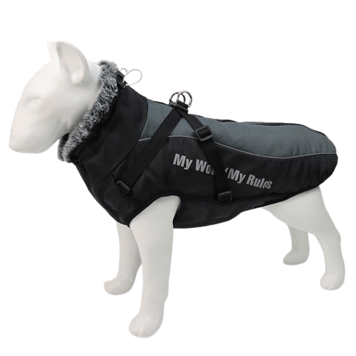 Veste imperméable noire pour chien