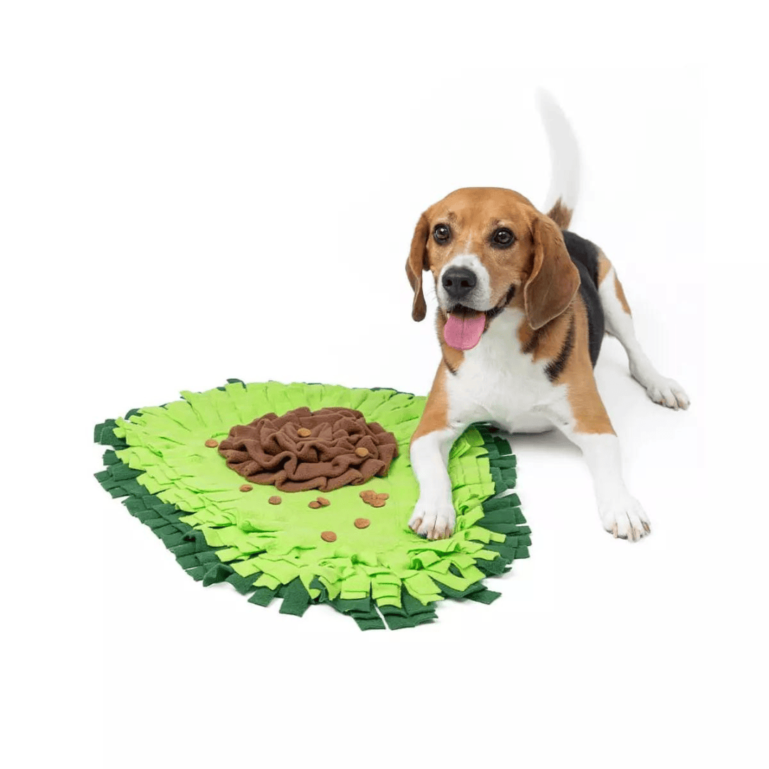 Chien avec un tapis de fouille en forme d'avocat pour chien