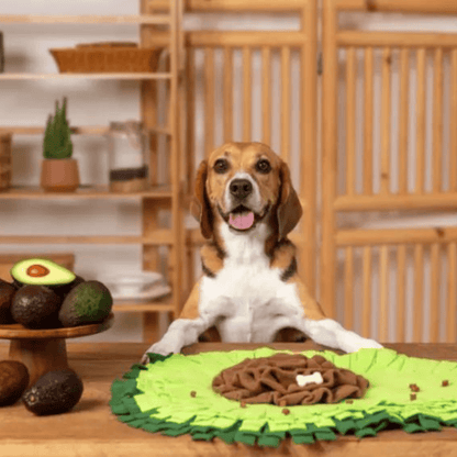 Chien avec tapis de fouille en forme d'avocat pour chien