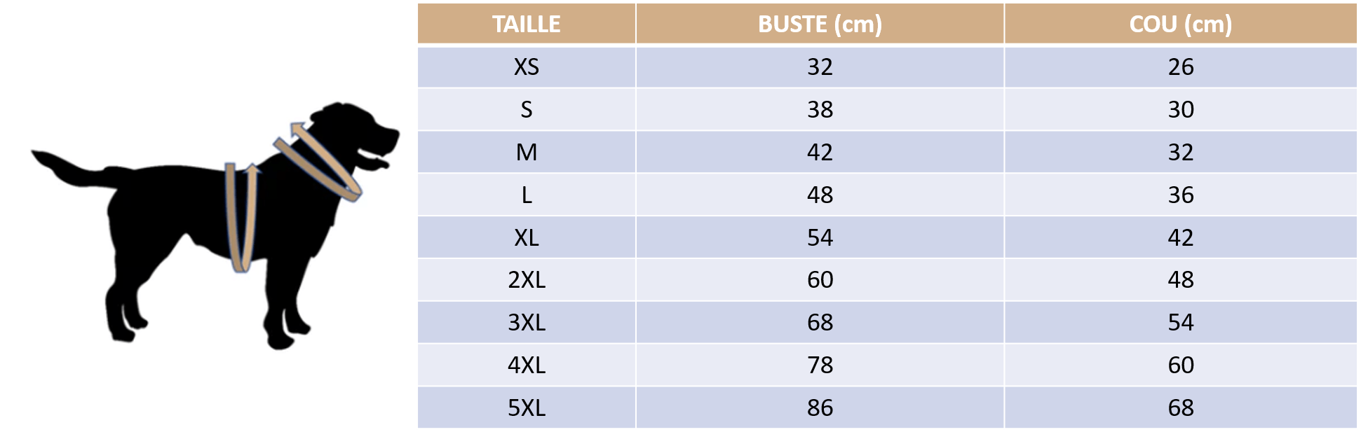 Guide des tailles de notre maillot de basketball pour chien