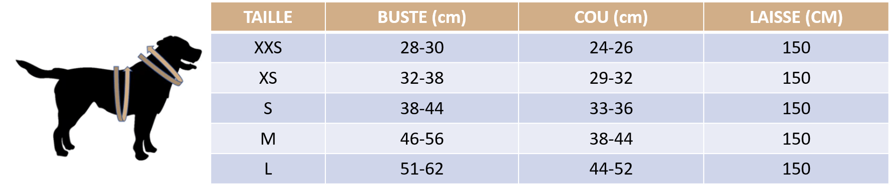 Guide des tailles de notre harnais pour petit chien